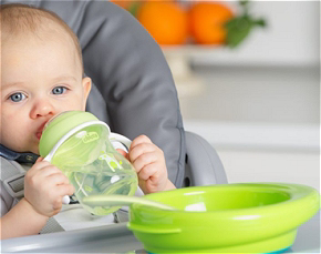 Immagine per la categoria Pappa